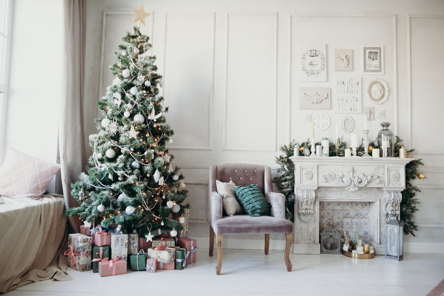 Grow Your Own CHRISTMAS TREE COLLECTION - 4 Gift Packets of Tree Seeds - Fraser Fir, Balsam Fir, Douglas Fir, & Blue Spruce + Free Gift Bag