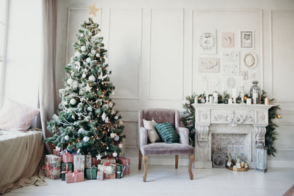 Grow Your Own CHRISTMAS TREE COLLECTION - 4 Gift Packets of Tree Seeds - Fraser Fir, Balsam Fir, Douglas Fir, & Blue Spruce + Free Gift Bag