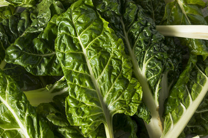 300 LUCULLUS SWISS CHARD Beta Vulgaris White Perpetual Spinach Vegetable Seeds