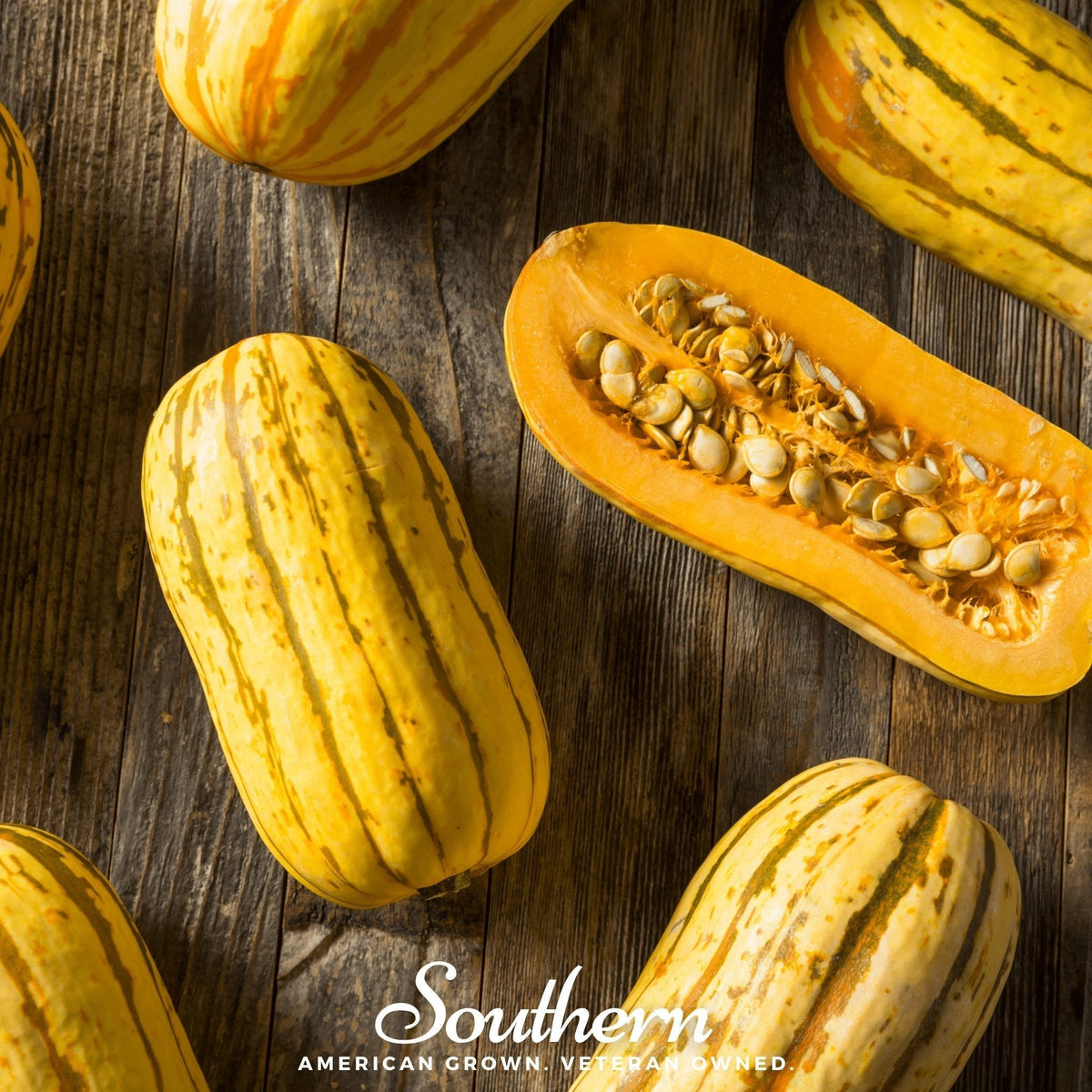 Delicata Squash Seeds – Heirloom, Edible Skin, Sweet Flavor, 20 Seeds Cucurbita pepo