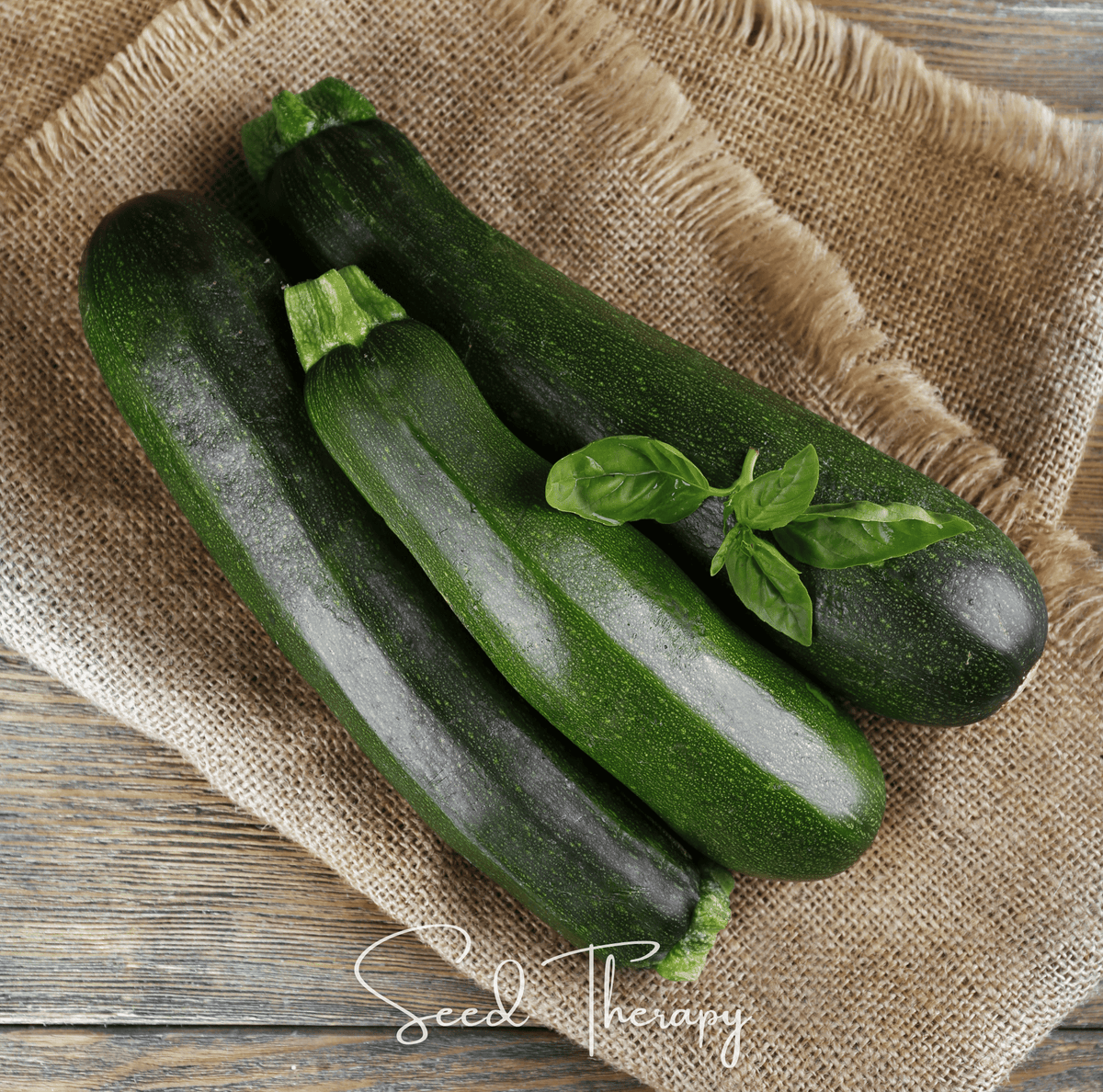 Dark Green Zucchini Seeds – Heirloom Cucurbita pepo for Summer Harvest, 25 Non-GMO, Open Pollinated, Easy to Grow
