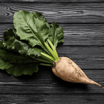 Sugar Beet – 50 Seeds