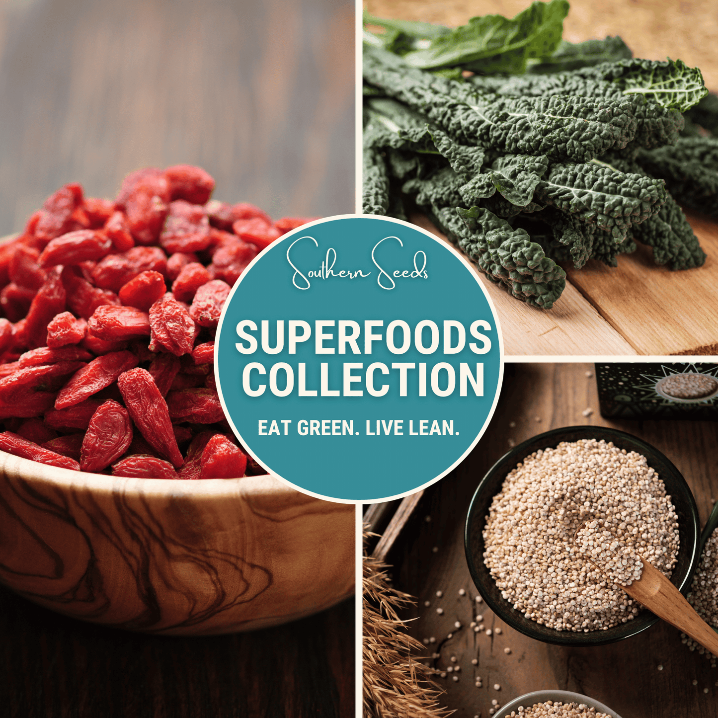 Superfoods Seed Collection – 7 Heirloom Varieties for Nutrient-Dense Home Garden – Kale, Spinach, Beets, Quinoa, Chia, Berries