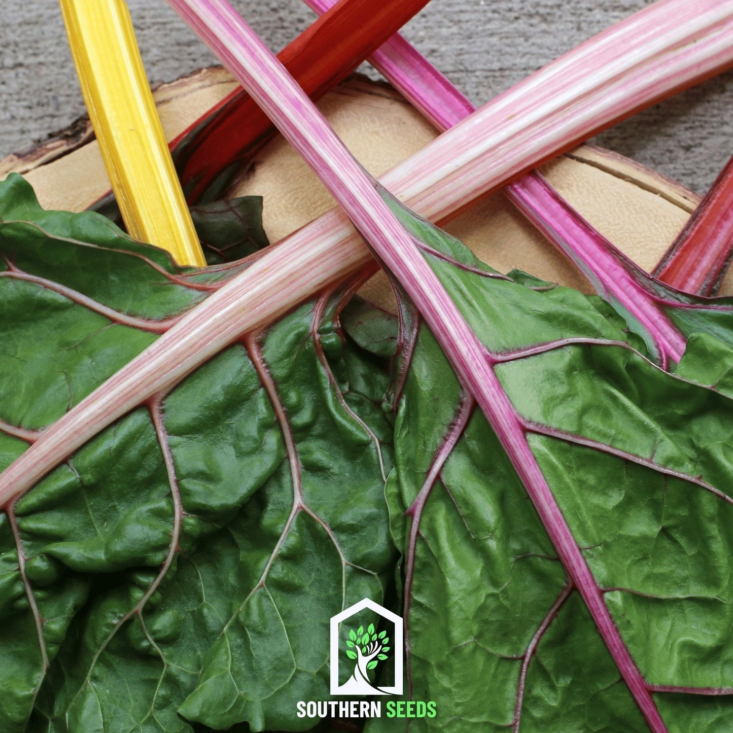 Rainbow Swiss Chard Seeds – 150 Heirloom, Open Pollinated, Non-GMO, Vibrant Colorful Stems & Edible Leaves