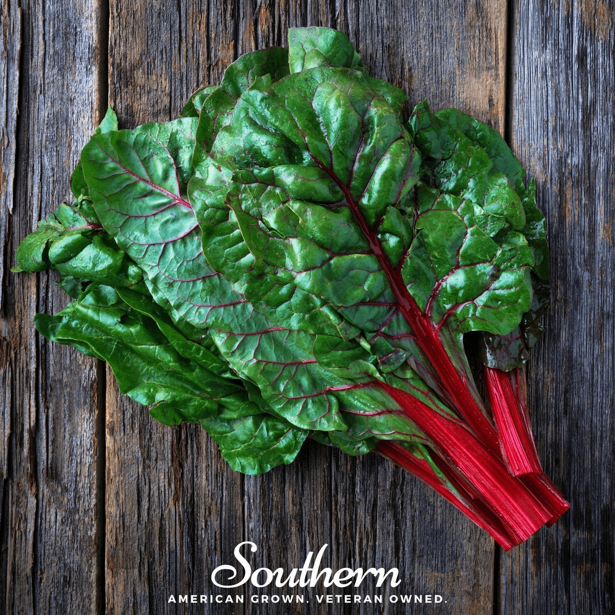 Ruby Red Swiss Chard Seeds – Edible Ornamental, Heirloom, Beta vulgaris, 100 Seeds