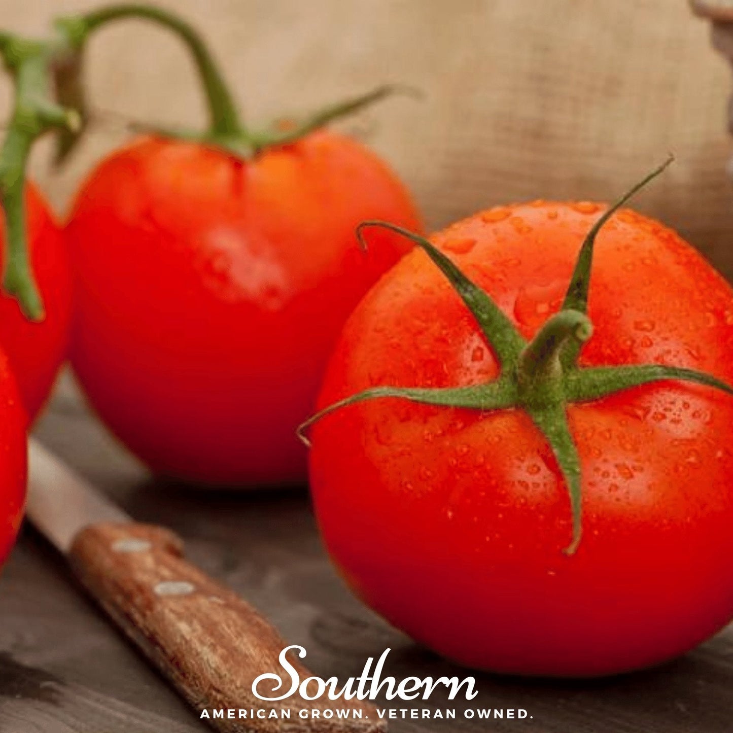 Floridade Tomato Seeds – Heirloom, Non-GMO, Heat Tolerant, Determinate, 50 Seeds Lycopersicon esculentum