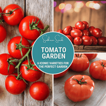 Tomato Garden Seed Collection – 6 Heirloom Varieties for Slicing, Canning & Snacking – Solanum lycopersicum