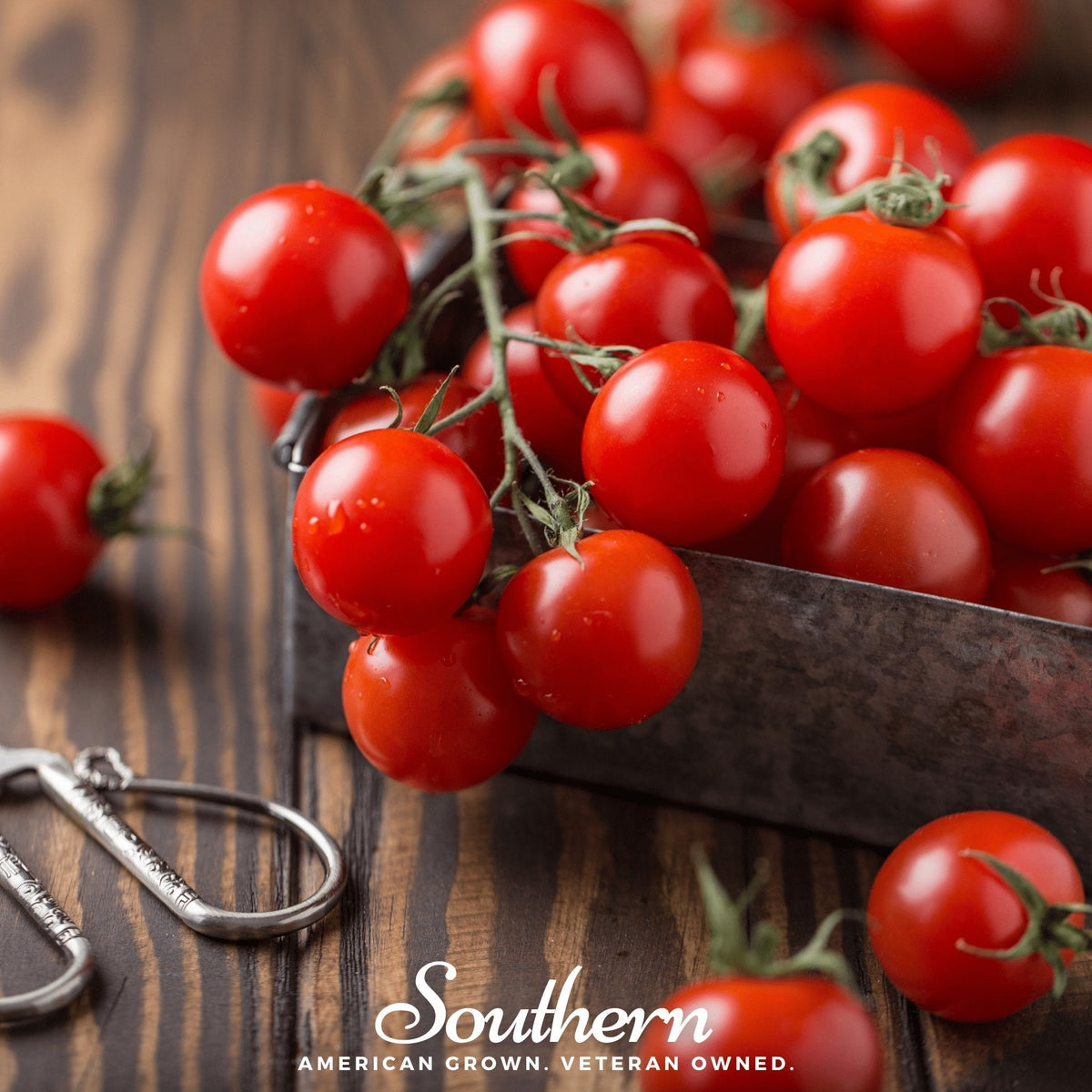 Small Red Cherry Tomato Seeds – Heirloom, Indeterminate, Sweet Flavor, 50 Seeds, Open Pollinated, Non-GMO, Solanum lycopersicum