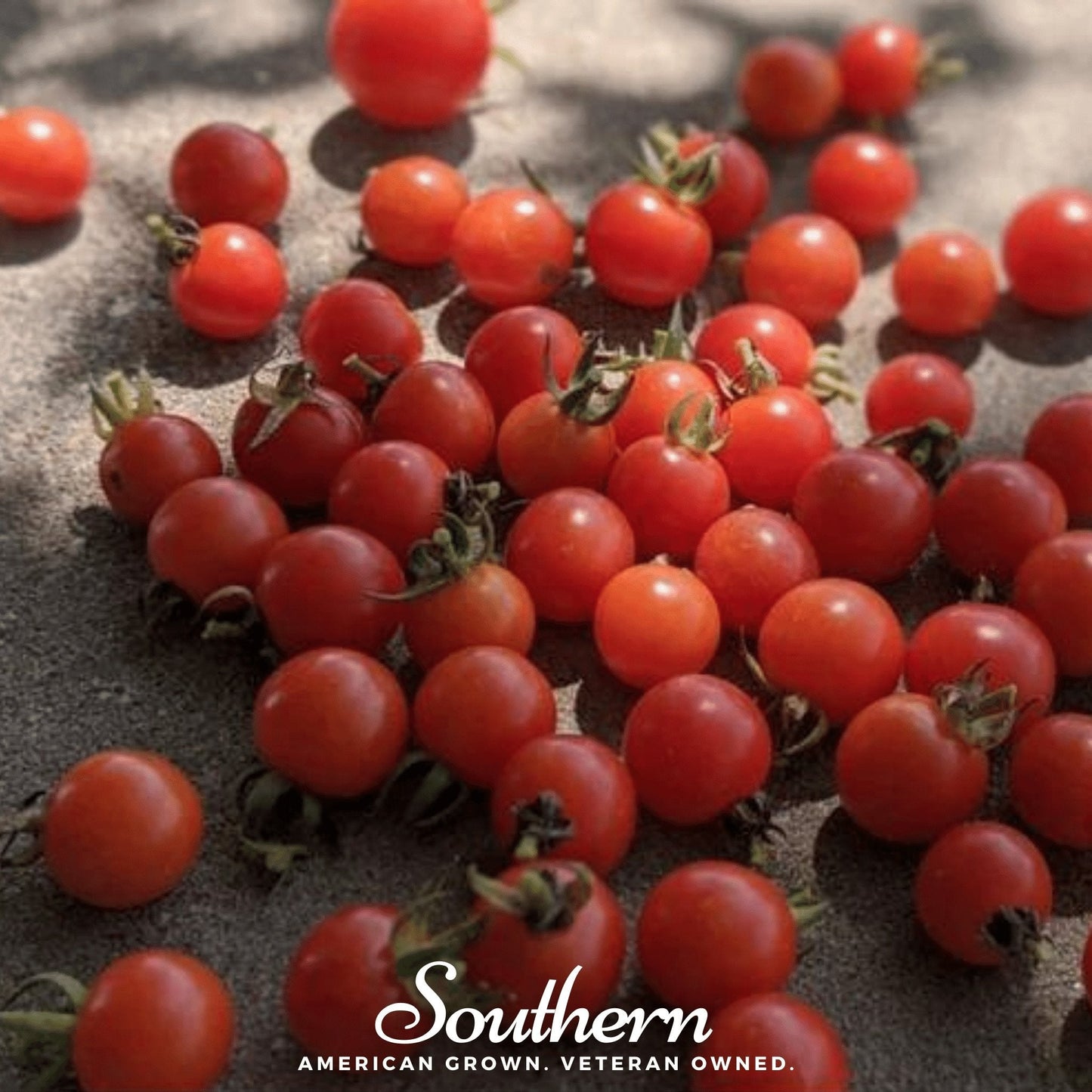 Sweetie Tomato Seeds – Heirloom Cherry Tomato for Snacking, Grape-Like Clusters, Low Acidity, Indeterminate, 50 Seeds