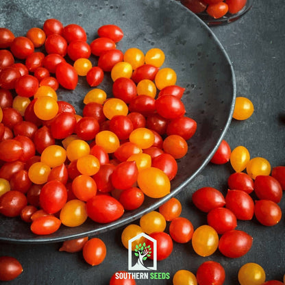 World's Smallest Tomato – Tomberry – 25 Seeds