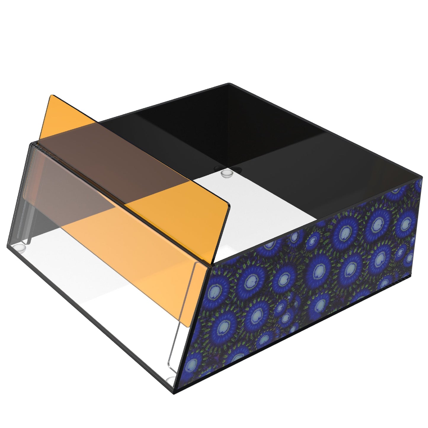 Top Down Viewer Zoa 8 Panel