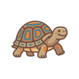 Tortoise
