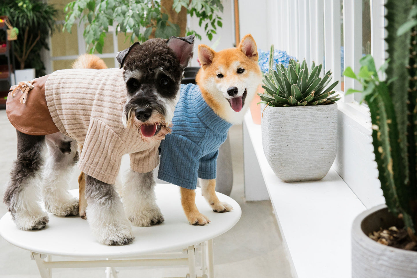 Touchdog ® 'Modress' Fashion Designer Dog Sweater and Dress