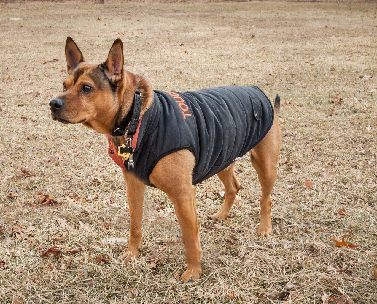 Touchdog ® Waggin Swag Ultra-Plush Insulated and Reversible Dog Coat