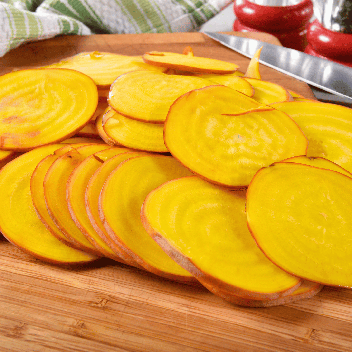 Touchstone Beet – 50 Seeds