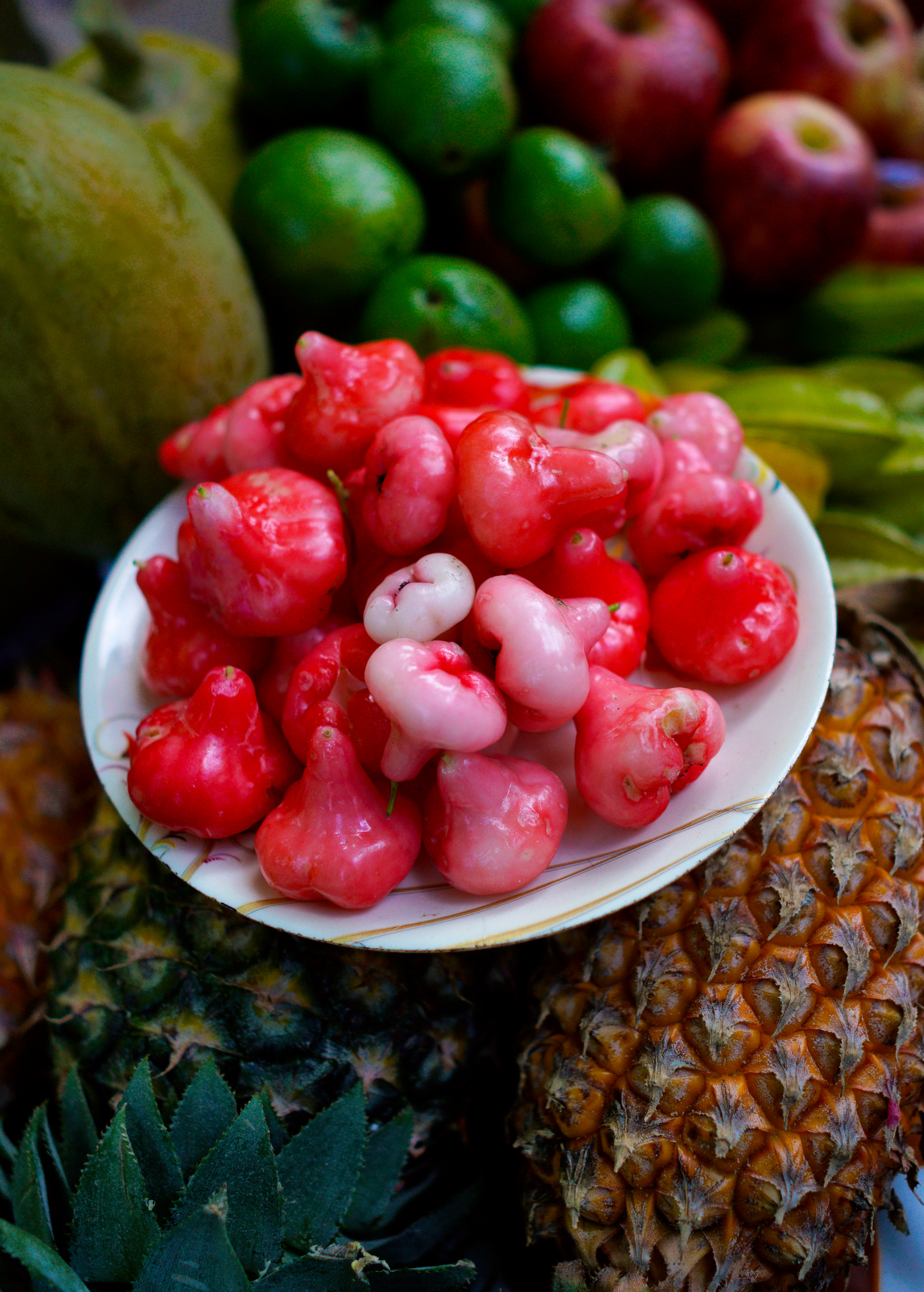 Wax Jambu Red Fruit Tree | Tropical Syzygium samarangense | Juicy Bell-Shaped Water Apple