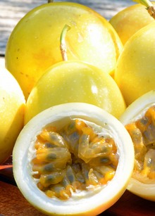 Passion Fruit Vine Yellow 'Lilikoi' Passiflora edulis flavicarpa Tropical Fruit Plant